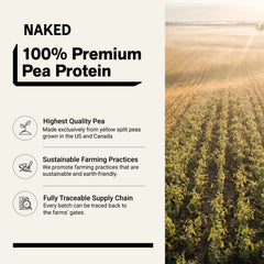 Pea Protein Powder | Naked Pea - 2LB