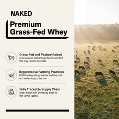 Chocolate Peanut Butter Whey Protein Powder | Naked Whey - 5LB